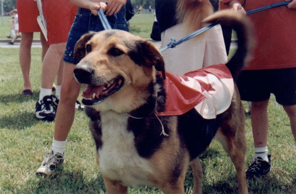 DOG2.JPG